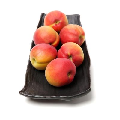 Apricots- Dried orange